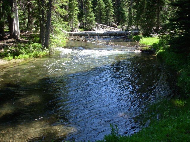Summer '06 Sunriver 303 